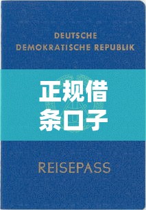 正规借条口子平台推荐指南