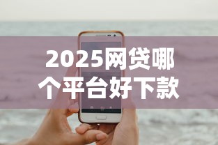 2025网贷哪个平台好下款