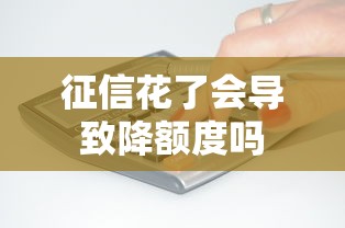 征信花了会导致降额度吗
