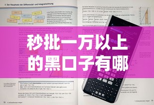 秒批一万以上的黑口子有哪些9月核心借款技巧！隆重解答五个网贷软件秒批一万的借钱口子