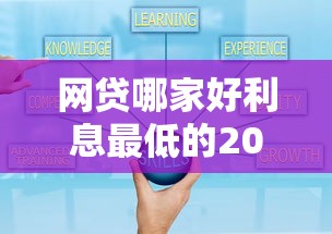 网贷哪家好利息最低的2025年秘籍攻略！本文为您全面分析！