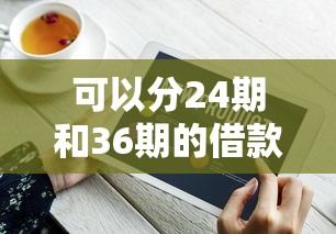 可以分24期和36期的借款平台有哪些快瞧这5个！实测网贷口子可以分24期和36期