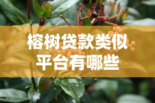 榕树贷款类似平台有哪些