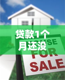 贷款1个月还没有下来2025年验证这5个！本文隆重介绍！