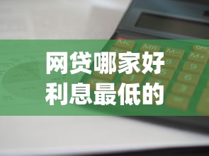 网贷哪家好利息最低的2025年秘籍攻略！本文为您全面分析！_1