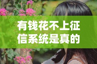有钱花不上征信系统是真的吗