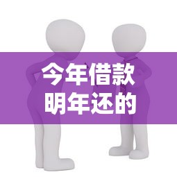 今年借款明年还的贷款方案解析