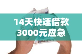 14天快速借款3000元应急攻略