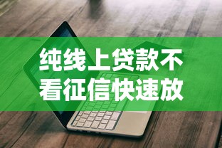 纯线上贷款不看征信快速放款