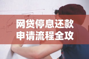 网贷停息还款申请流程全攻略