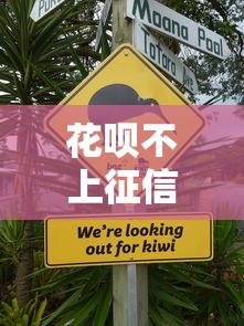 花呗不上征信的实用技巧
