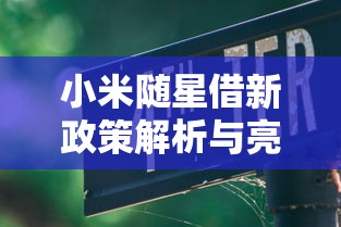 小米随星借新政策解析与亮点