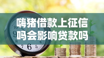 嗨猪借款上征信吗会影响贷款吗