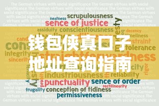 钱包侠真口子地址查询指南