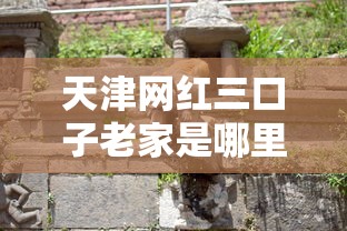 天津网红三口子老家是哪里的