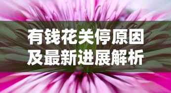 有钱花关停原因及最新进展解析