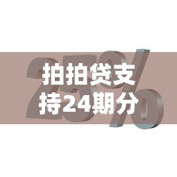 拍拍贷支持24期分期还款吗