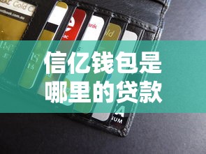 信亿钱包是哪里的贷款口子