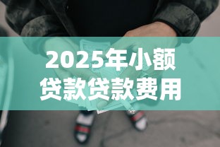 2025年小额贷款贷款费用本月提前学会！探索5个借款网贷口子费用