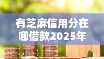 有芝麻信用分在哪借款2025年方法快看！隆重解析这五个不查大数据不上征信