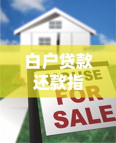 白户贷款还款指南及常见口子解析