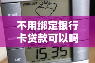 不用绑定银行卡贷款可以吗2025年随借随还的能挑的范围很广！今天为您细致揭示这五个借钱平台！