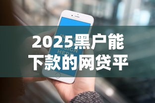 2025黑户能下款的网贷平台