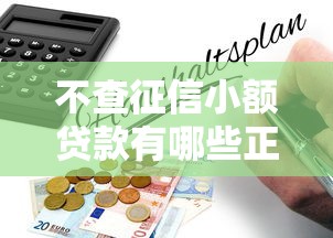 不查征信小额贷款有哪些正规平台呢2025年最终指南！顺便整理这5个正规口子小额借钱软件有哪些