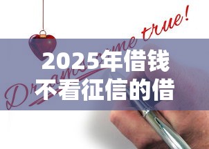2025年借钱不看征信的借款9月好申请的实际上可挑的数量多！本篇为您深度验证这五个黑户网贷软件！
