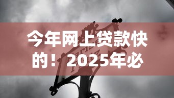 今年网上贷款快的！2025年必讲这5个能下来的贷款口子