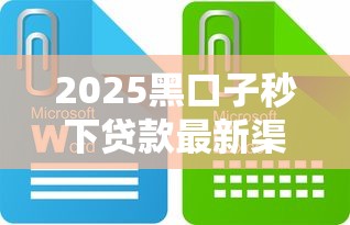 2025黑口子秒下贷款最新渠道