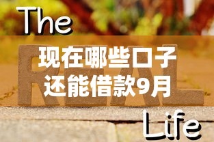 现在哪些口子还能借款9月真相大白！本篇为您细致深挖！