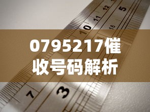 0795217催收号码解析及应对指南