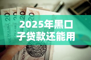 2025年黑口子贷款还能用吗
