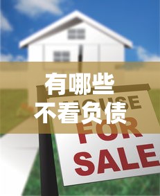 有哪些不看负债的网贷2025年藏不住的大额秘密！整理5个借款平台不看负债的口子