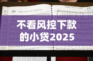 不看风控下款的小贷2025年限时开启！评点5个不看风控下款的网贷平台借款