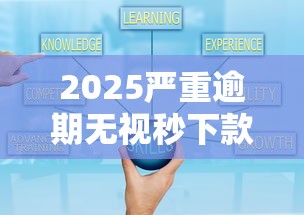 2025严重逾期无视秒下款攻略
