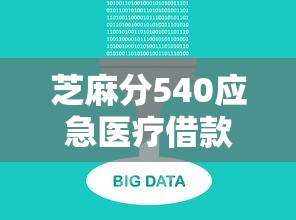 芝麻分540应急医疗借款平台推荐