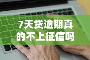 7天贷逾期真的不上征信吗