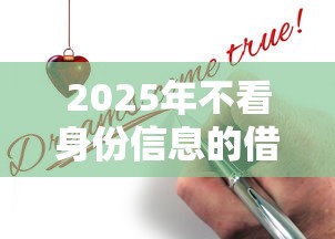 2025年不看身份信息的借款平台9月必过申请技巧！本篇为您详细介绍！