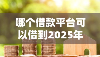 哪个借款平台可以借到2025年竟然是这样！细数这五个贷款口子可以借到钱