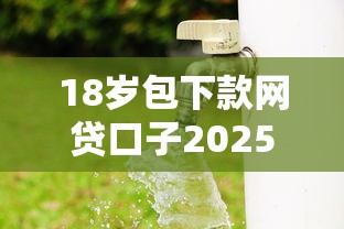 18岁包下款网贷口子2025年最新借款动态！来瞧这5个18岁借钱用贷款软件平台