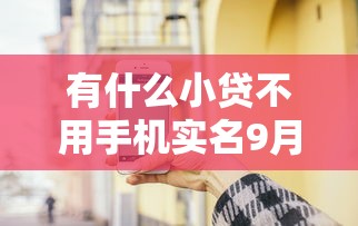 有什么小贷不用手机实名9月发现这5个！本文为您隆重概括！