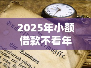 2025年小额借款不看年龄收藏这5个！本文为您精心力荐！