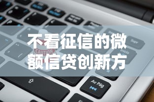 不看征信的微额信贷创新方案