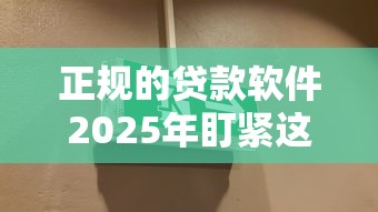 正规的贷款软件2025年盯紧这5个！本篇为您深入整合！
