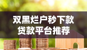 双黑烂户秒下款贷款平台推荐