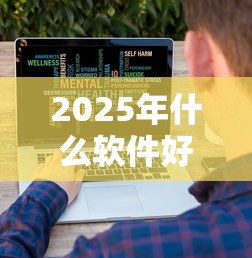 2025年什么软件好借款详见这5个！为您论述不看征信大数据秒下的口子