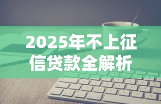 2025年不上征信贷款全解析