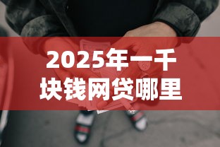 2025年一千块钱网贷哪里能通过9月速借干货！同时展示这5个微信秒借授权没额度
